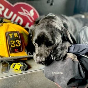 Meet your Posher, Mindee le